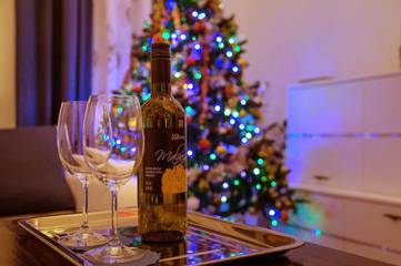 Gîte pour 10 personnes, avec vue et terrasse à Ljubljana