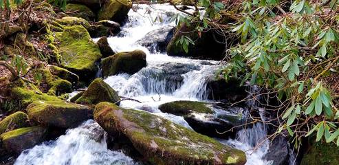 Log Cabin for 6 Guests in Blue Ridge Mountains, North Carolina, Picture 3