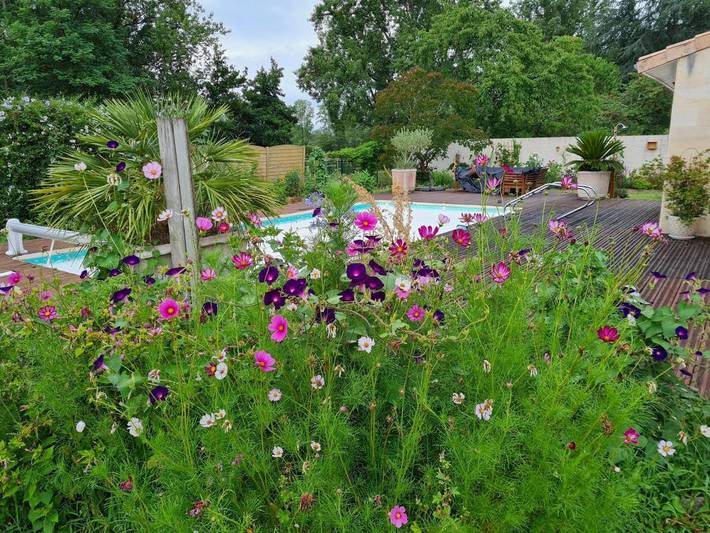 Location de vacances pour 4 personnes, avec piscine et jardin à Izon - 3