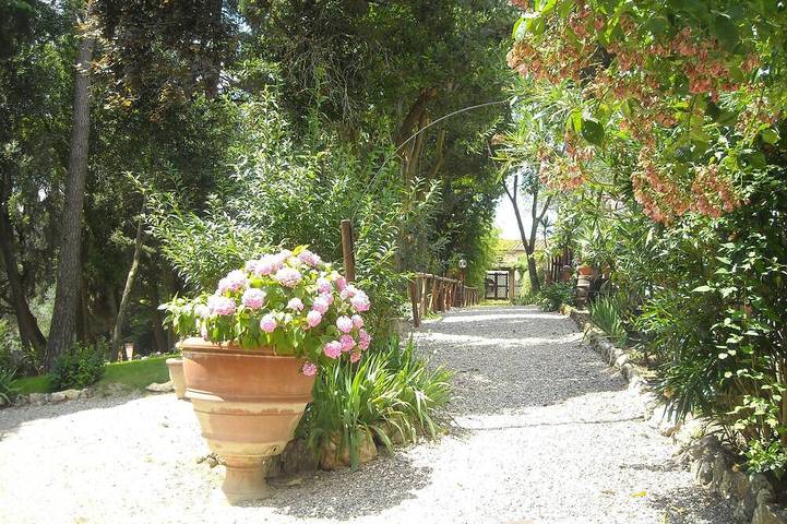 Villa il Frassine in Rignano sull'Arno, Valdarno