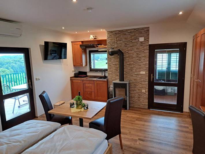 Location de vacances pour 3 personnes, avec vue et jardin dans Ormož - 4