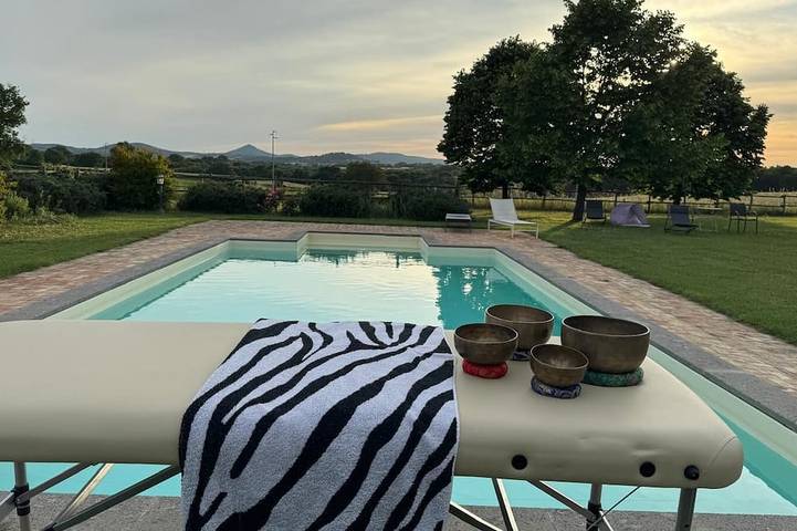 Holiday home for 4 people, with pool and garden, with pets - 1