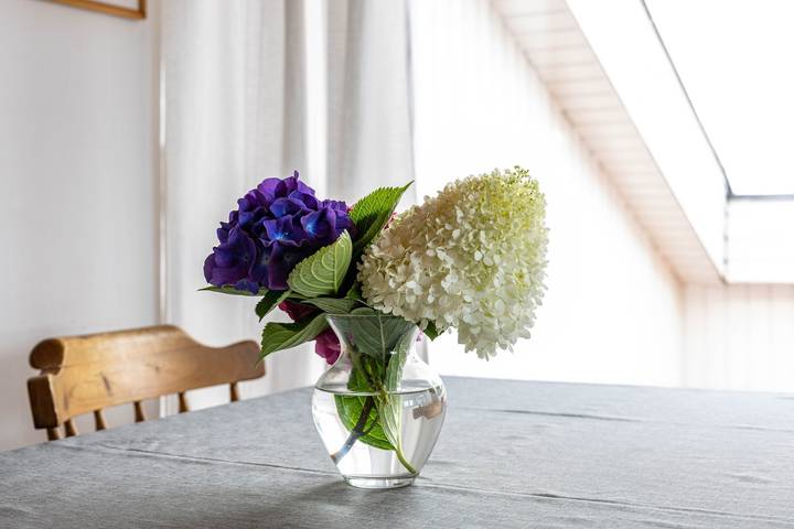 Ganze Wohnung, Ferienwohnung 'Im Haus Kempkens' mit privater Terrasse, Balkon und Wlan in Wasserburg (Bodensee), Bayerisch Schwaben
