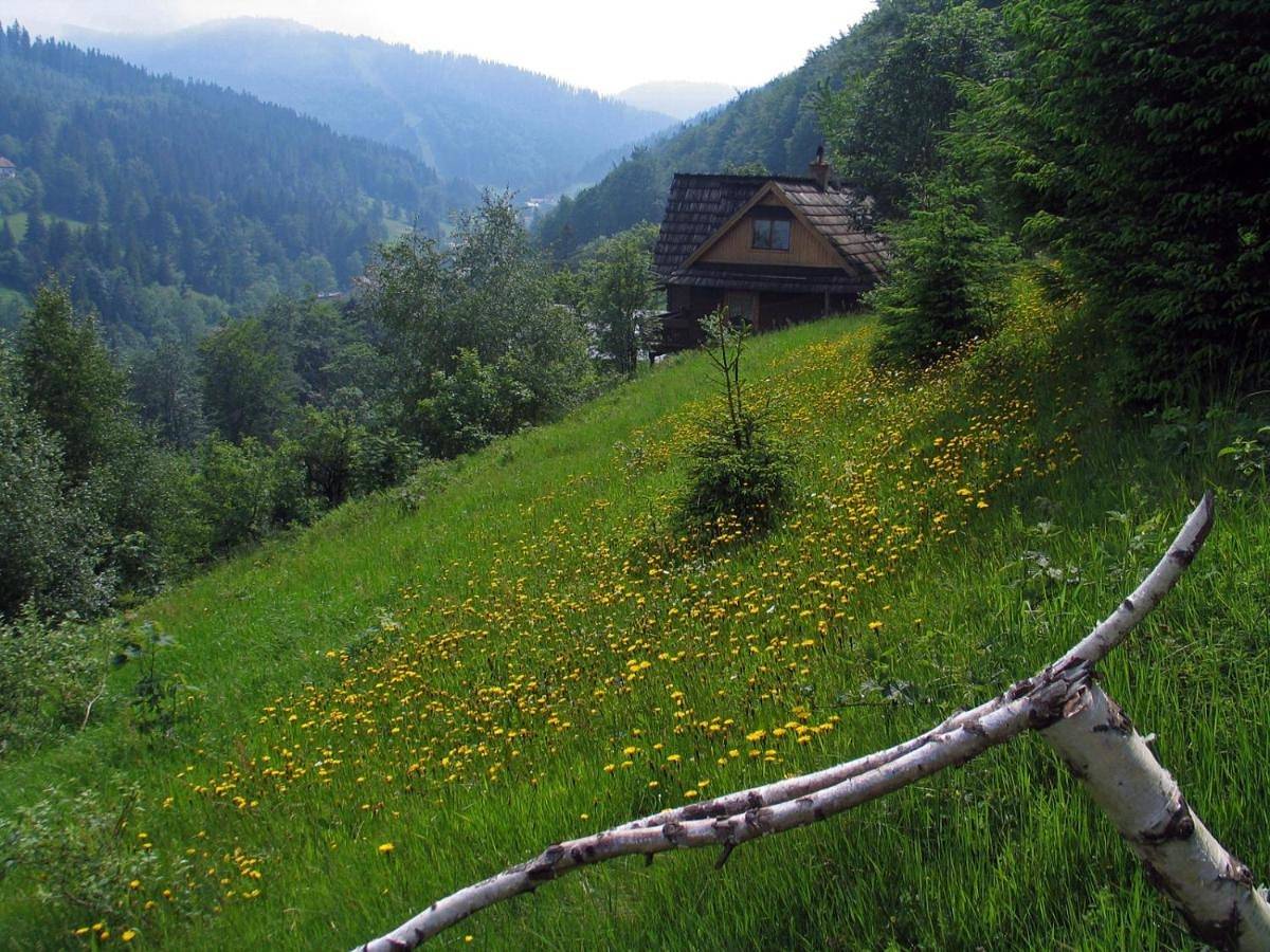 Tarnasówka w Szczyrku in Szczyrk, Karpaty (Polska)