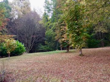 Ferienhaus für 6 Personen in Monschau, Nationalpark Eifel, Bild 3
