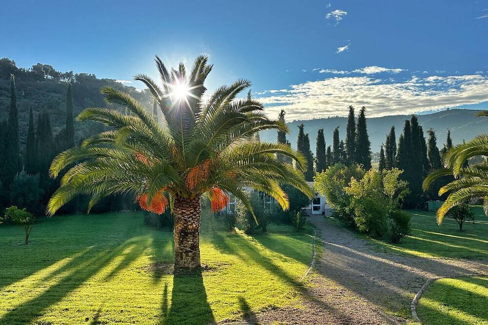 Entire apartment, Single room for 1 guest with 12m² in Olvera (267436) in Olvera, White Villages