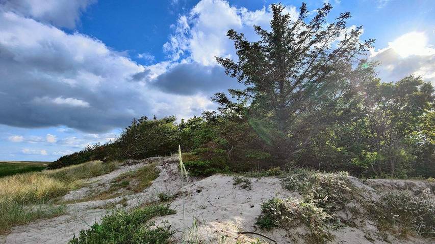 Ferienhaus für 7 Personen, mit Garten in Binderup Strand - 2