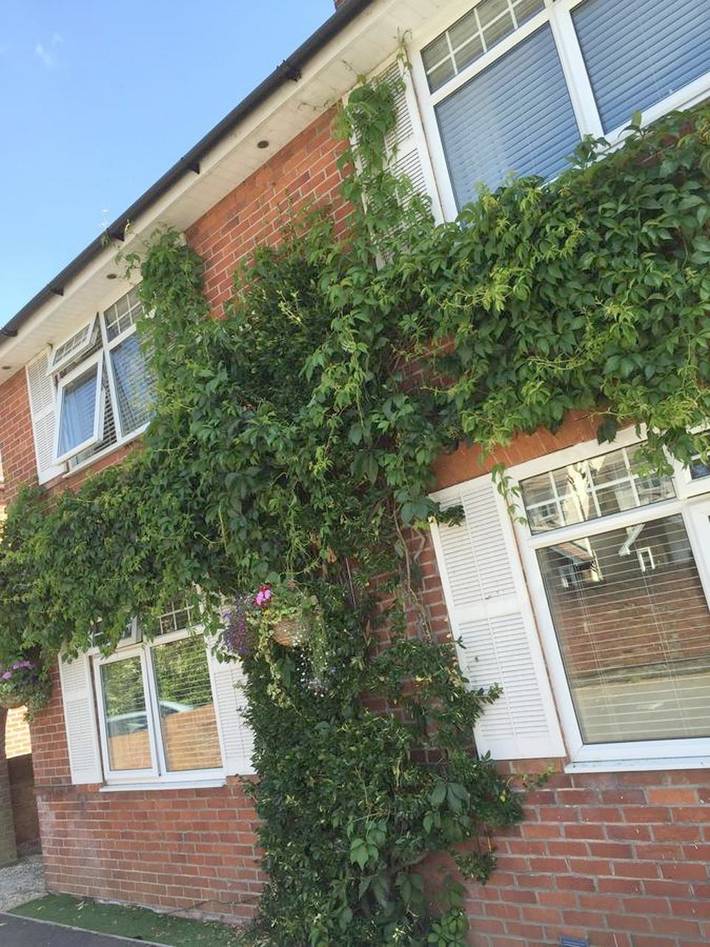 B&b for 3 people, with Terrace and Garden in New Forest