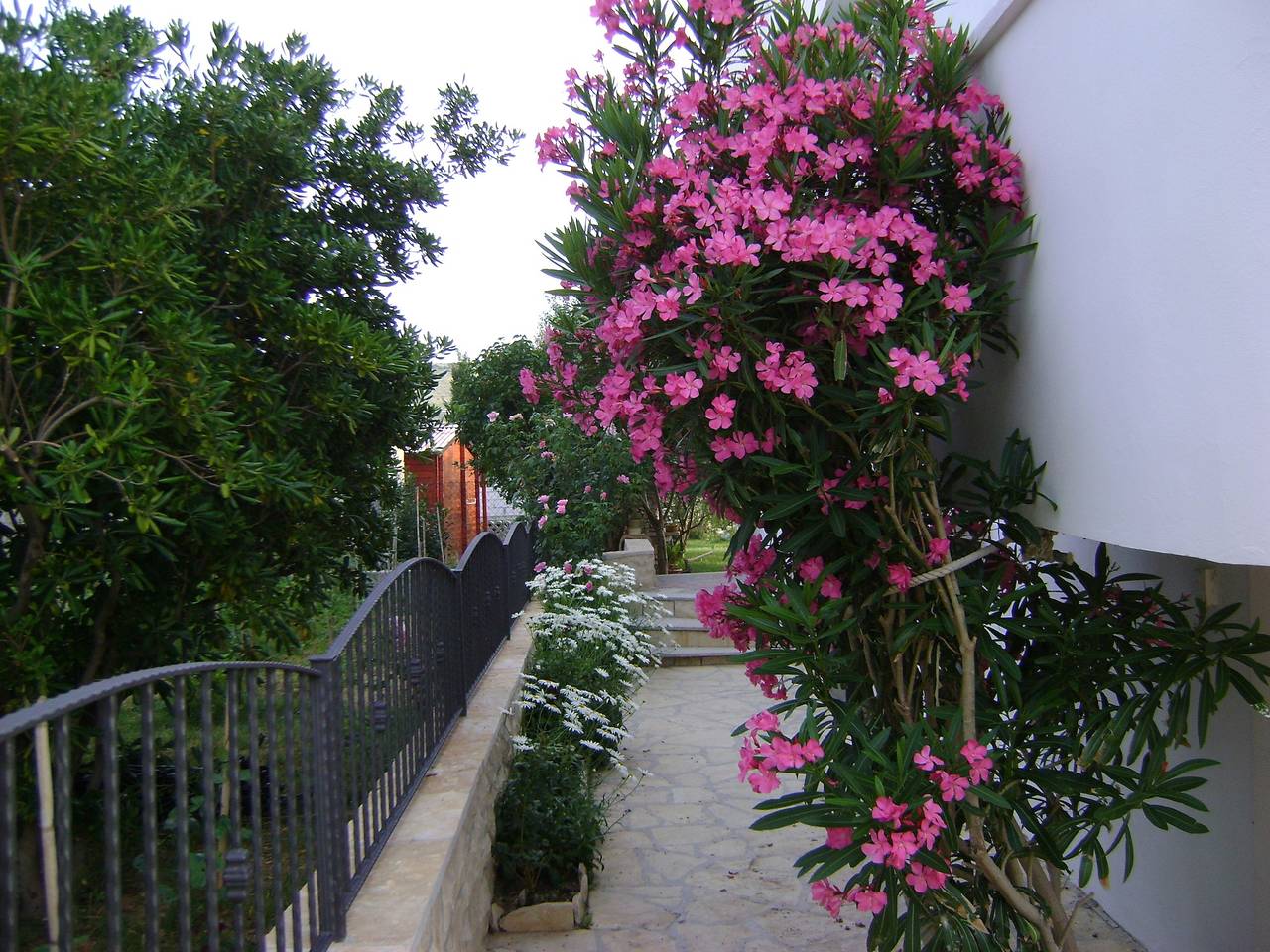Ganze Wohnung, Studio Appartement mit Balkon und Meerblick Ljubac, Zadar As-14593-b in Ljubač (Dalmatien), Zadar