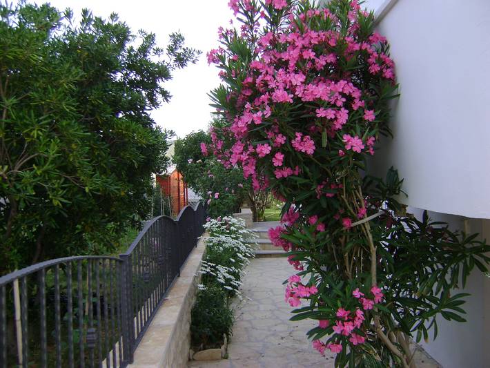 Ganze Wohnung, Studio Appartement mit Balkon und Meerblick Ljubac, Zadar As-14593-b in Ljubač (Dalmatien), Zadar
