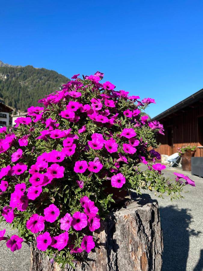 Location de vacances pour 4 personnes, avec jardin ainsi que vue et vue sur le lac à Bionaz - 3