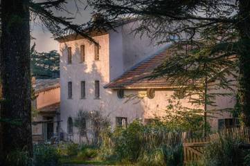 Cottage pour 2 personnes, avec jardin ainsi que vue et piscine à Flassans-sur-Issole