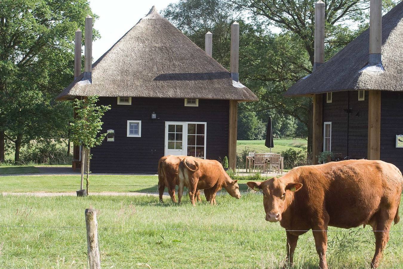 Erve Woolderink — 2 Reggehooiberg vakantiehuisjes in Wierden, Twente