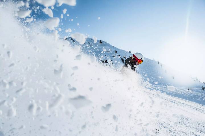 Chalet pour 8 personnes, animaux acceptés à Saint-François-Longchamp - 4