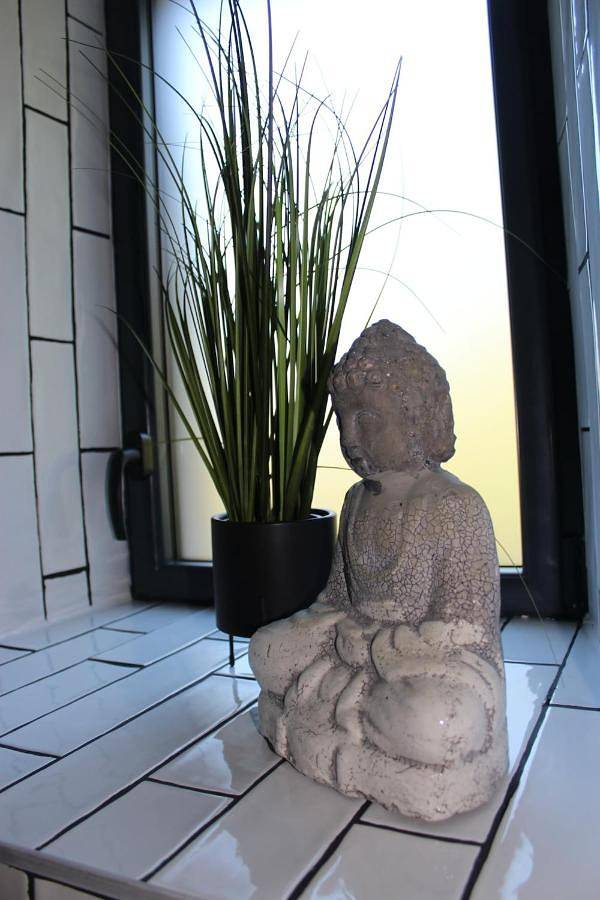 Gîte pour 2 personnes, avec terrasse à Busserolles - 4