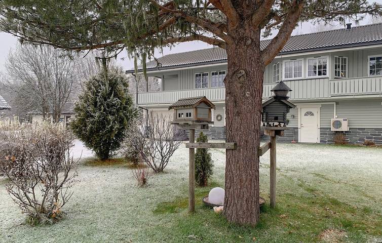 Ferieleilighet for 4 personer, med hage i Gol