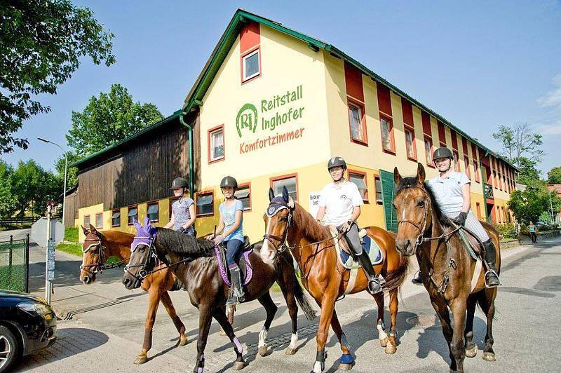Ganze Wohnung, Reitstall Inghofer - Komfort Einzelzimmer in Heidenreichstein, Waldviertel