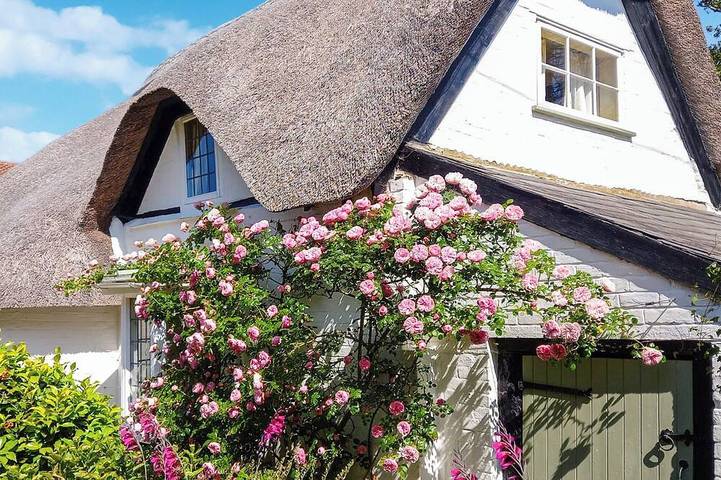 Cottage for 5 people, with garden in Barton on Sea