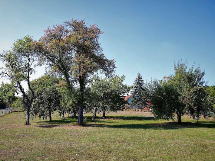 Ferienwohnung für 6 Personen, mit Garten und Balkon in Obertrubach - 3