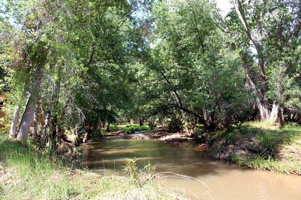 Gemütliche Hütte am Wasserrad fällt auf den East Verde River - bequem und sauber! in Gila County