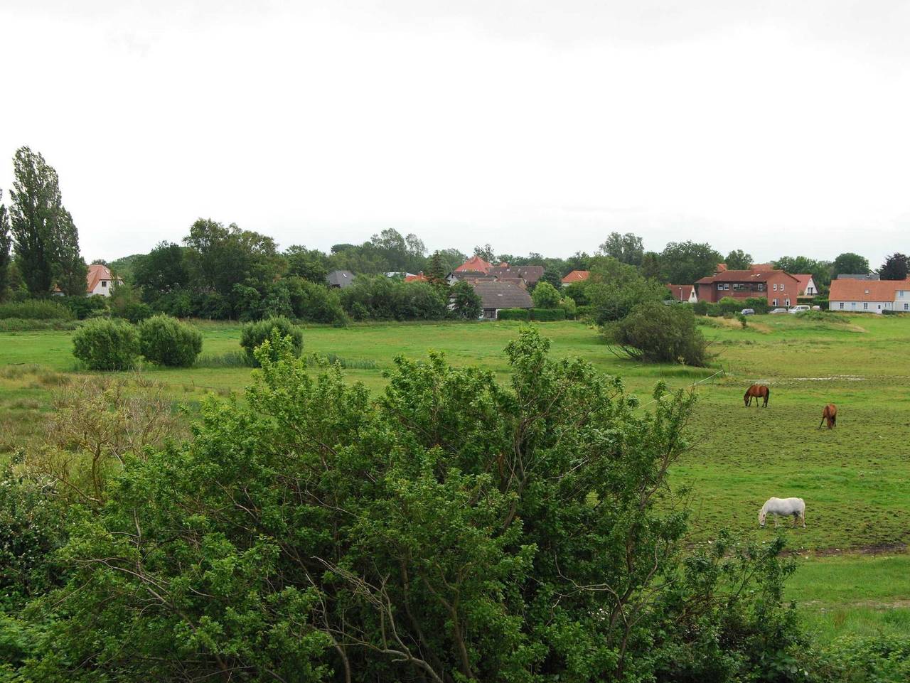 Ganze Ferienwohnung, Villa Boddenblick in Wiek, Rügen