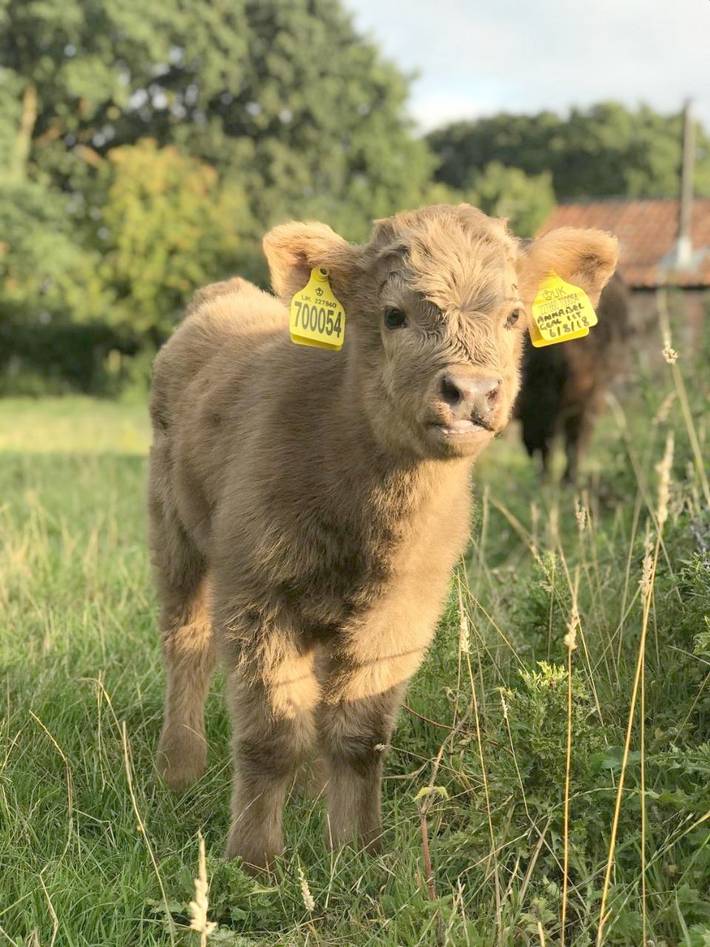 Chambre d’hôte pour 2 personnes, avec jardin et vue