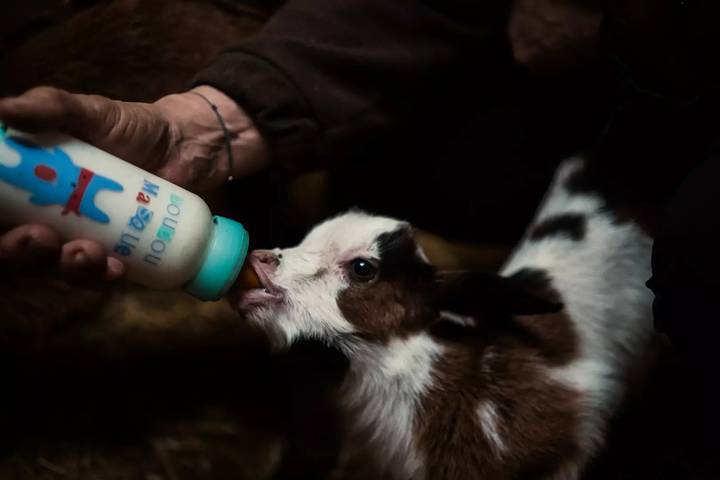 Gîte pour 2 personnes, avec vue à Trets - 2