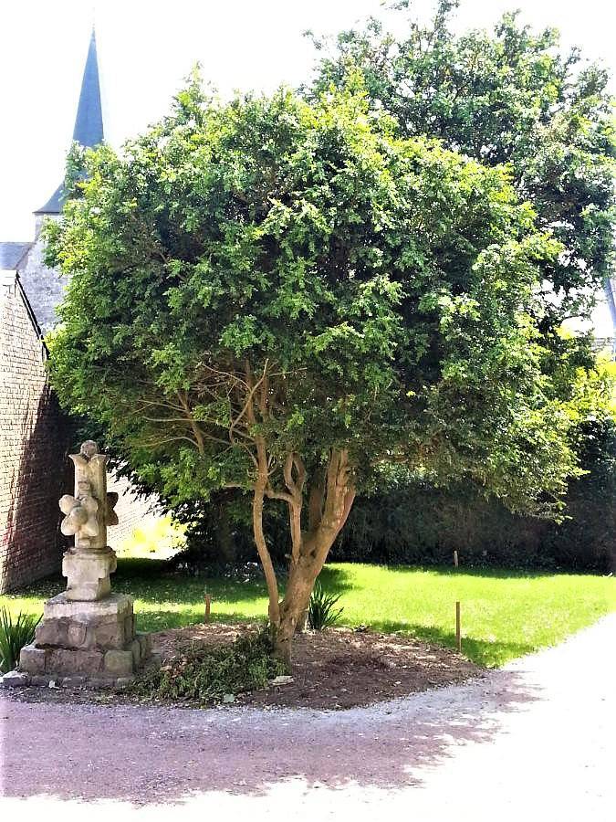Location de vacances pour 3 personnes, avec jardin à Les Loges - 3