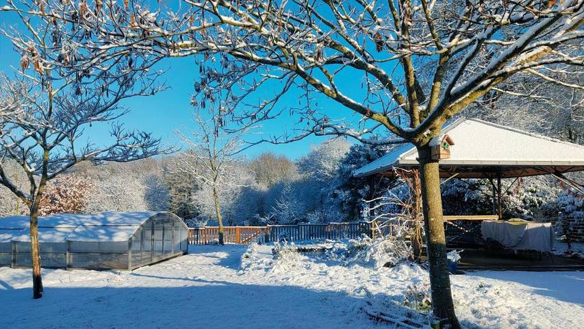 Maison d’hôte pour 4 personnes, avec jardin ainsi que vue et piscine, animaux acceptés à Paimpont - 4