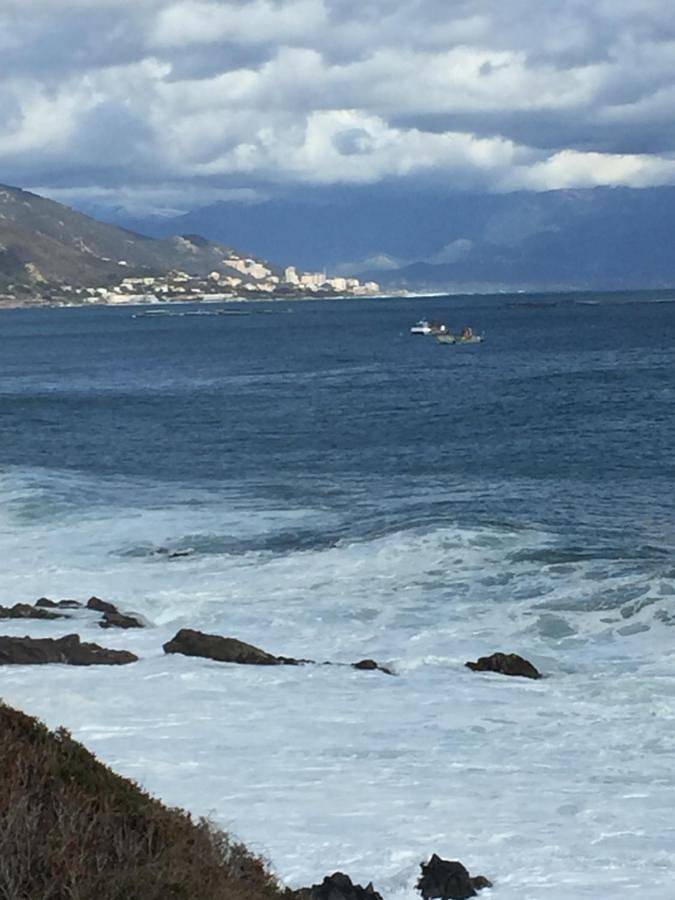 Villa pour 6 personnes, avec jardin et vue, animaux acceptés dans Porticcio - 4
