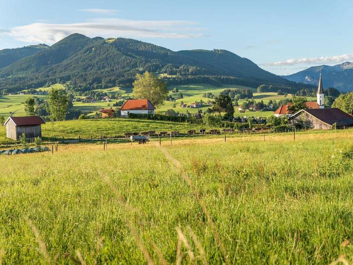 Ganze Ferienwohnung, Gästehaus Alpenglüh'n - Ferienwohnung Steigrain in Bad Kohlgrub, Bayerische Alpen