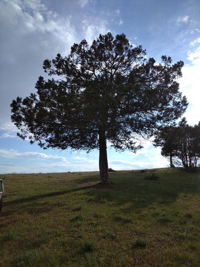 Casa rural para 10 personas, con vistas y jardín, Se admiten mascotas en Sierra de la Demanda - 3
