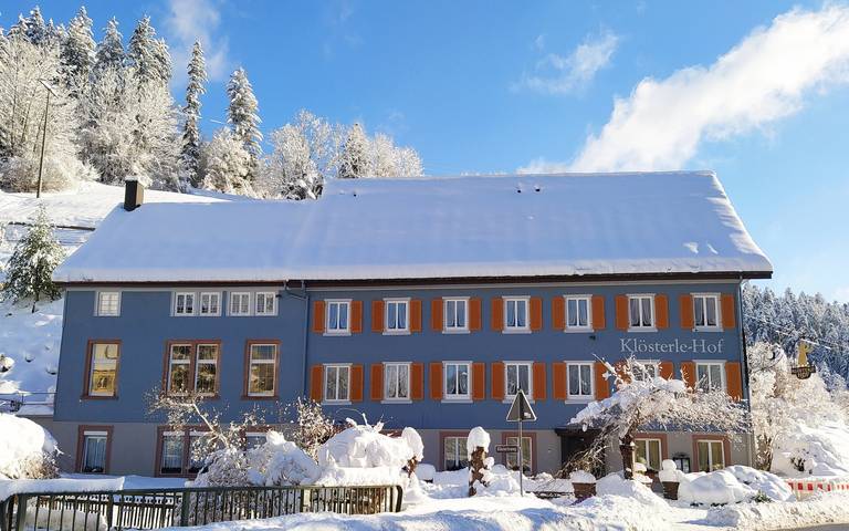 Hotel für 3 Personen, mit Terrasse in Bad Rippoldsau-Schapbach - 2