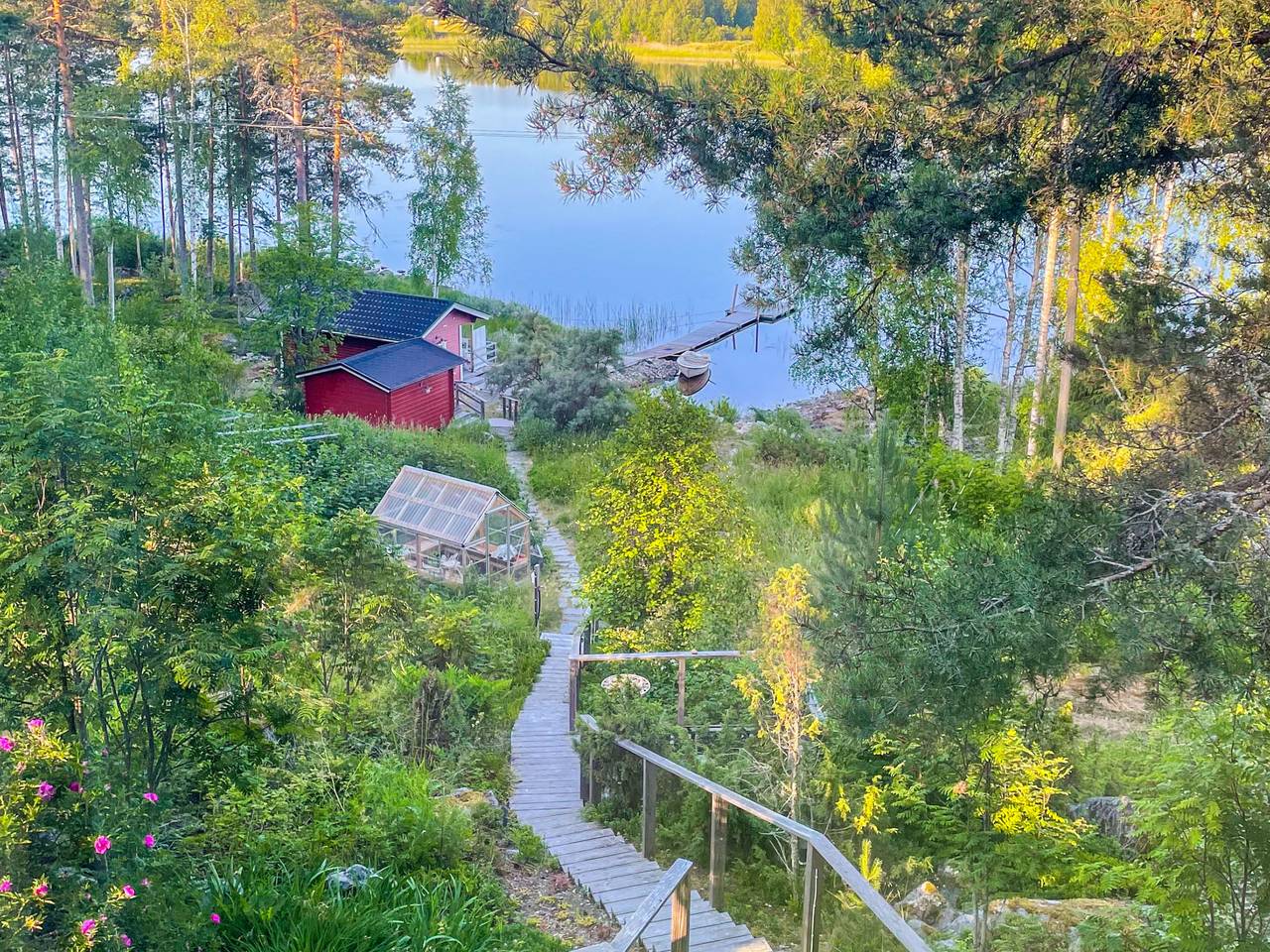 Metsis in Nurmes, Pielinen