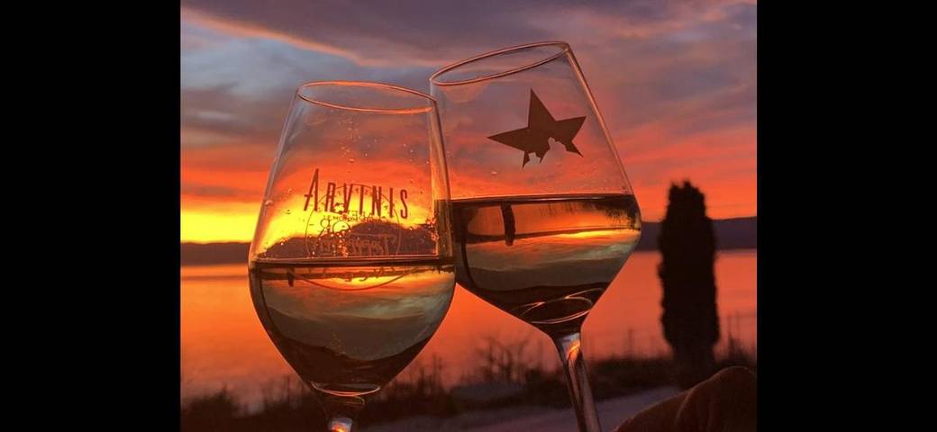 Maison d’hôte pour 2 personnes, avec terrasse ainsi que vue sur le lac et vue, animaux acceptés dans Canton de Vaud - 3