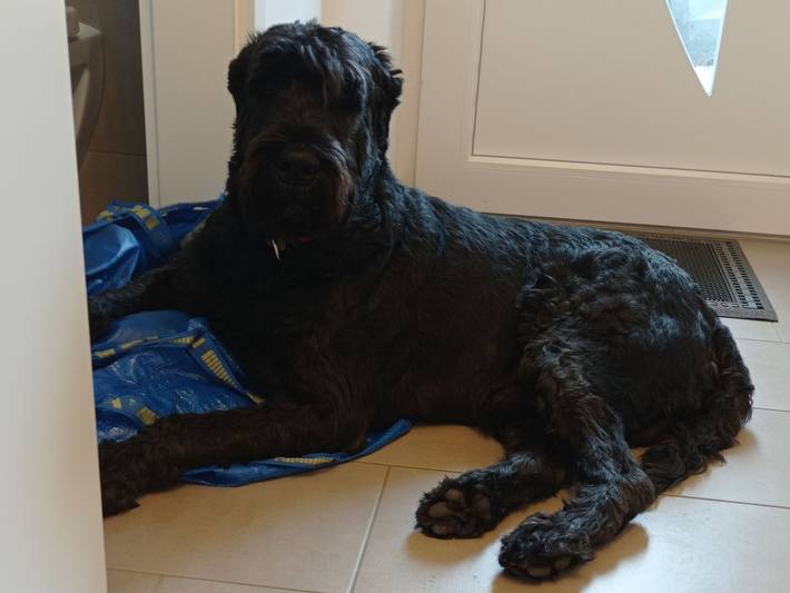 Ferienwohnung für 2 Personen, mit Garten und Terrasse, mit Haustier in Geltinger Bucht - 3