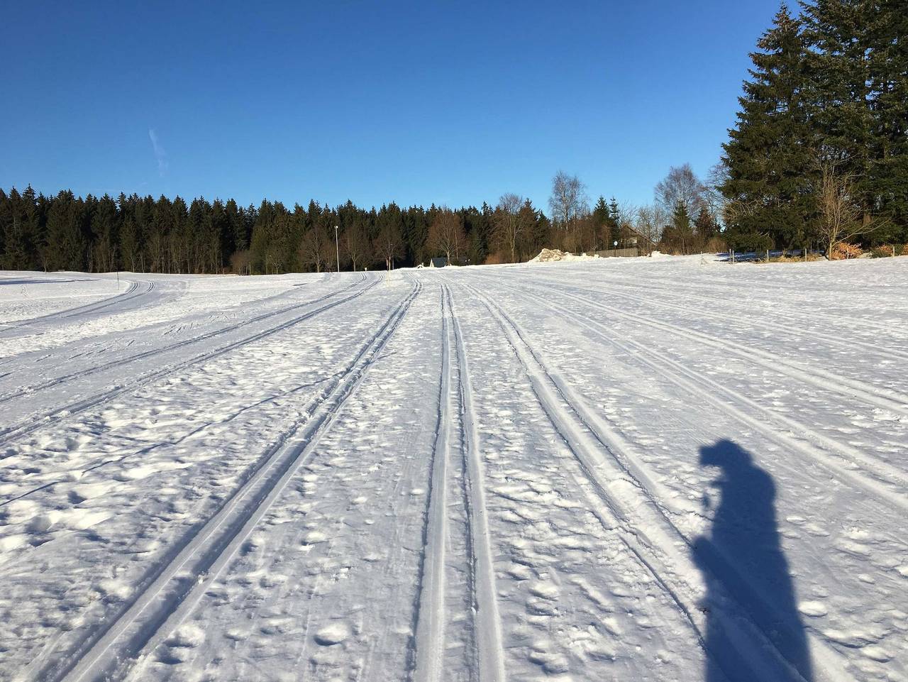 Ganze Ferienwohnung, Privatvermietung Ina - Ferienzimmer in Buntenbock, Harzvorland