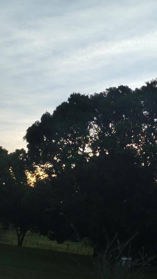 Pousadas para 3 pessoas, com terraço e jardim e ainda vista and piscina, com animais de estimação em Avaré