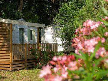 Camping para 6 Personas en Prunelli-di-Fiumorbo, Alta Córcega, Foto 1