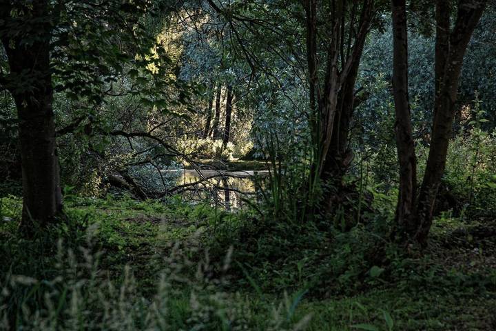 Location de vacances pour 3 personnes, avec Terrasse et Jardin ainsi que Vue et Vue sur le lac à La Madelaine-sous-Montreuil