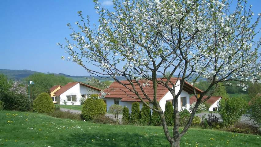 Ferienhaus für 6 Personen, mit Garten und Pool in Uslar