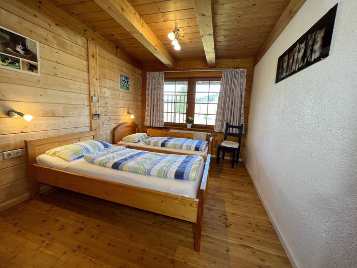 Gîte pour 4 personnes, avec jardin à Titisee-Neustadt - 4