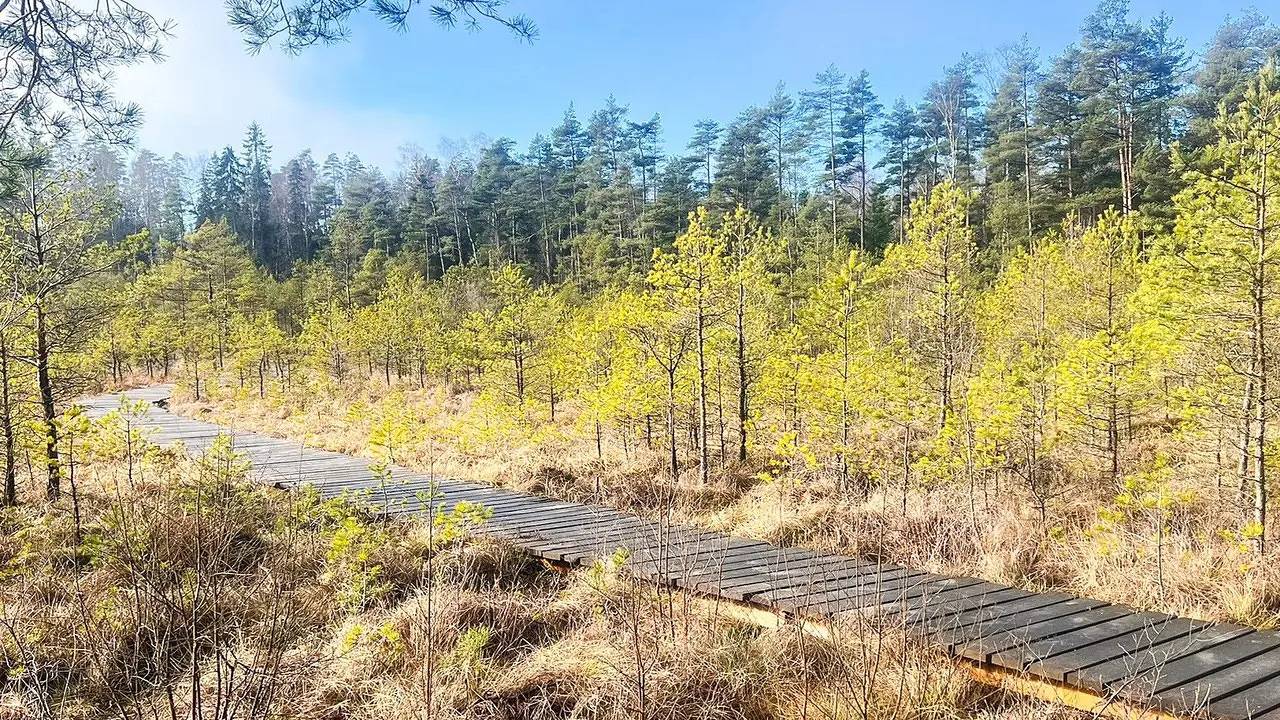 Ferienhaus für 7 Personen (90 m²) in Forsheda in Jönköpings län