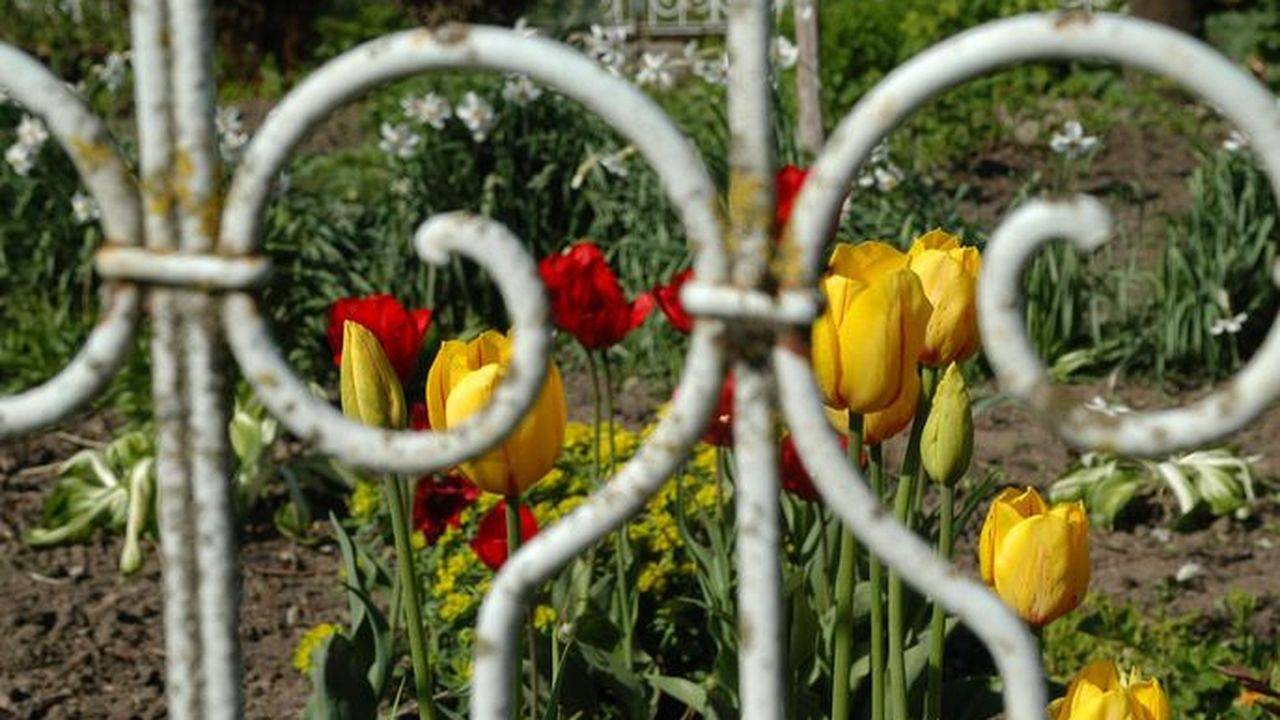 Ganze Ferienwohnung, Ferienwohnung für 6 Personen (92 m²) in Bodnegg in Bodnegg, Region Bodensee-Oberschwaben