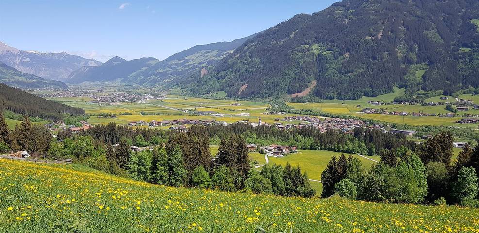 Ferienwohnung für 2 Personen, mit Terrasse, mit Haustier in Kaltenbach - 3