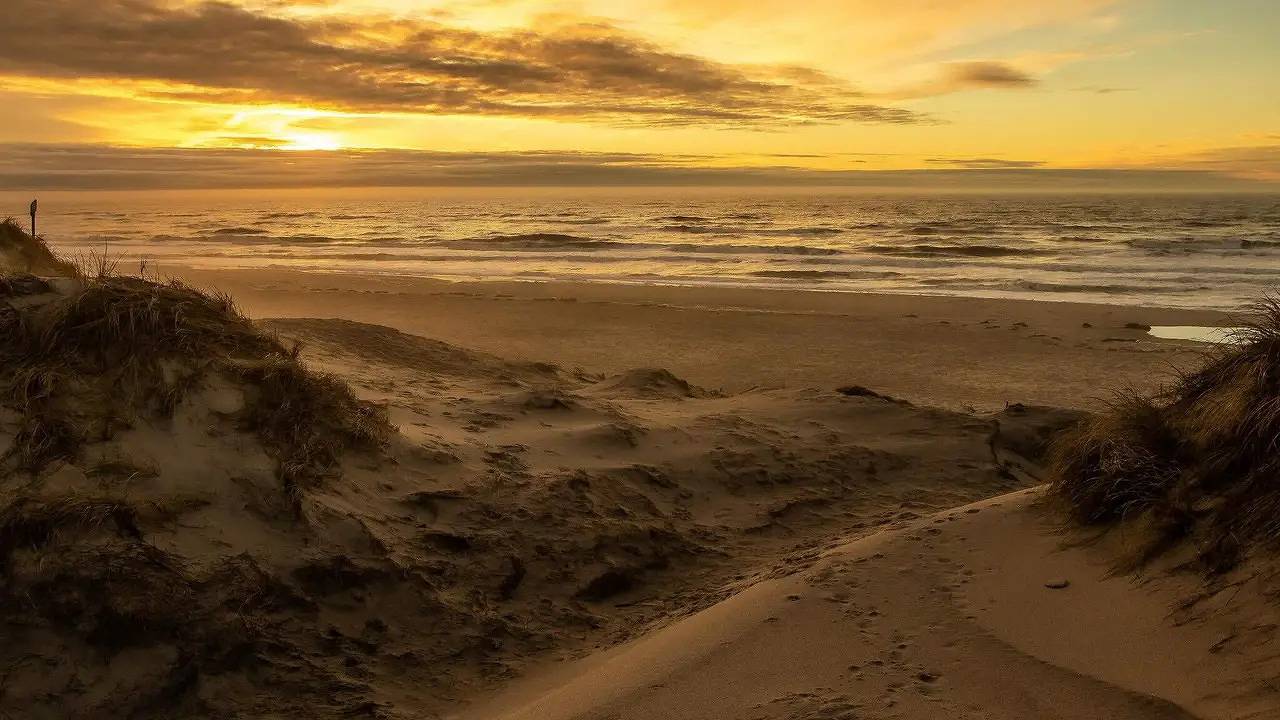 Ferienhaus für 6 Personen (113 m²) in Ringkøbing in Lodbjerg Hede, Ringkøbing