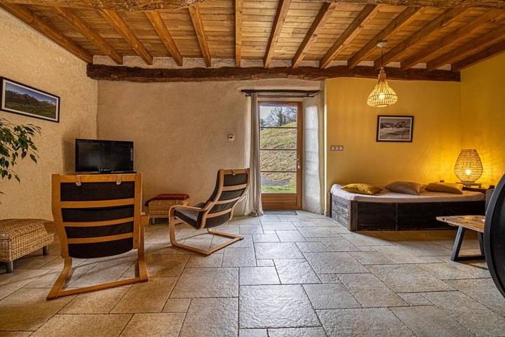 Gîte pour 6 personnes, avec terrasse ainsi que jardin et jacuzzi, animaux acceptés à Arrens-Marsous - 4