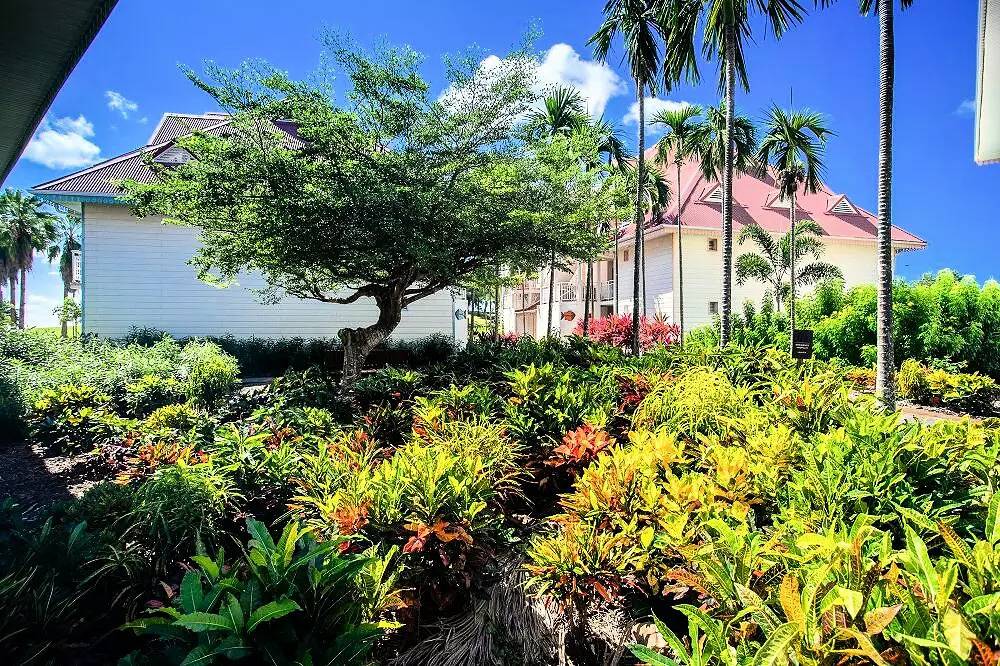 Ganze Wohnung, Prestige-Apartment mit 2 Schlafzimmern (6 Personen) in Rivière-Salée, Martinique