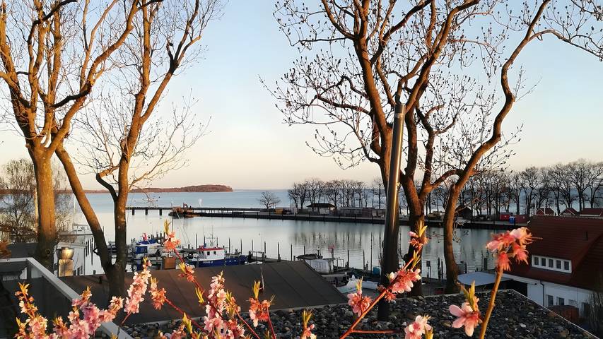 Entire apartment, Enjoy Sea Views & Tranquility – Exclusive Penthouse Apartment in Lauterbach Harbor in Lauterbach (Rügen), Putbus
