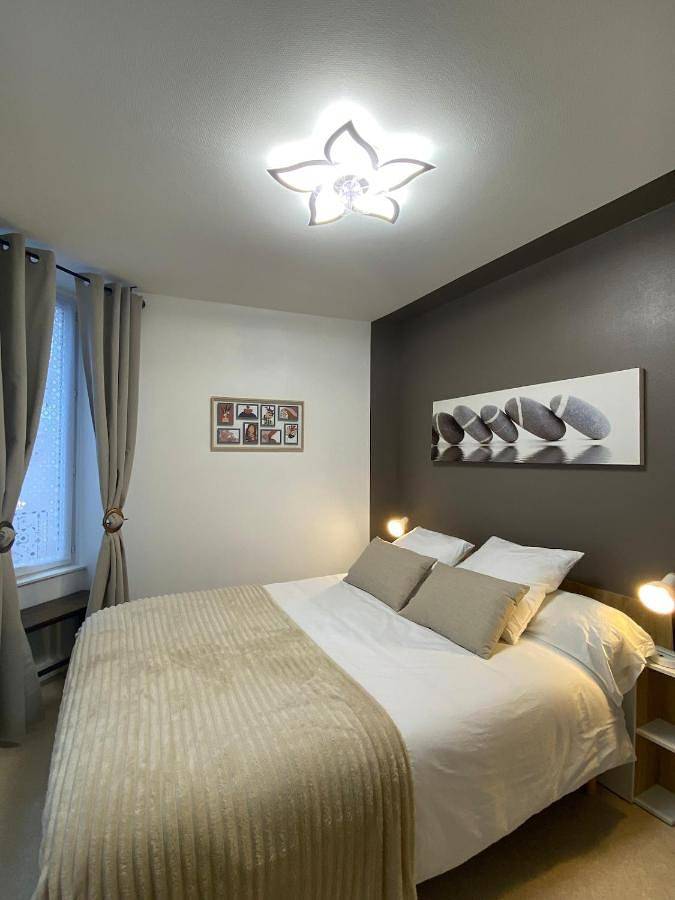 Appartement entier, Château, poteries, vins et randonnées in Saint-Amand-en-Puisaye, Nièvre